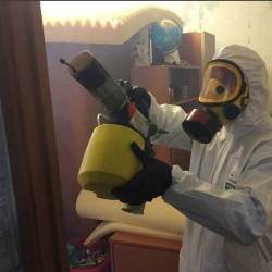 Уничтожение клопов в квартире. Конаково